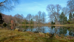 Pond landscape